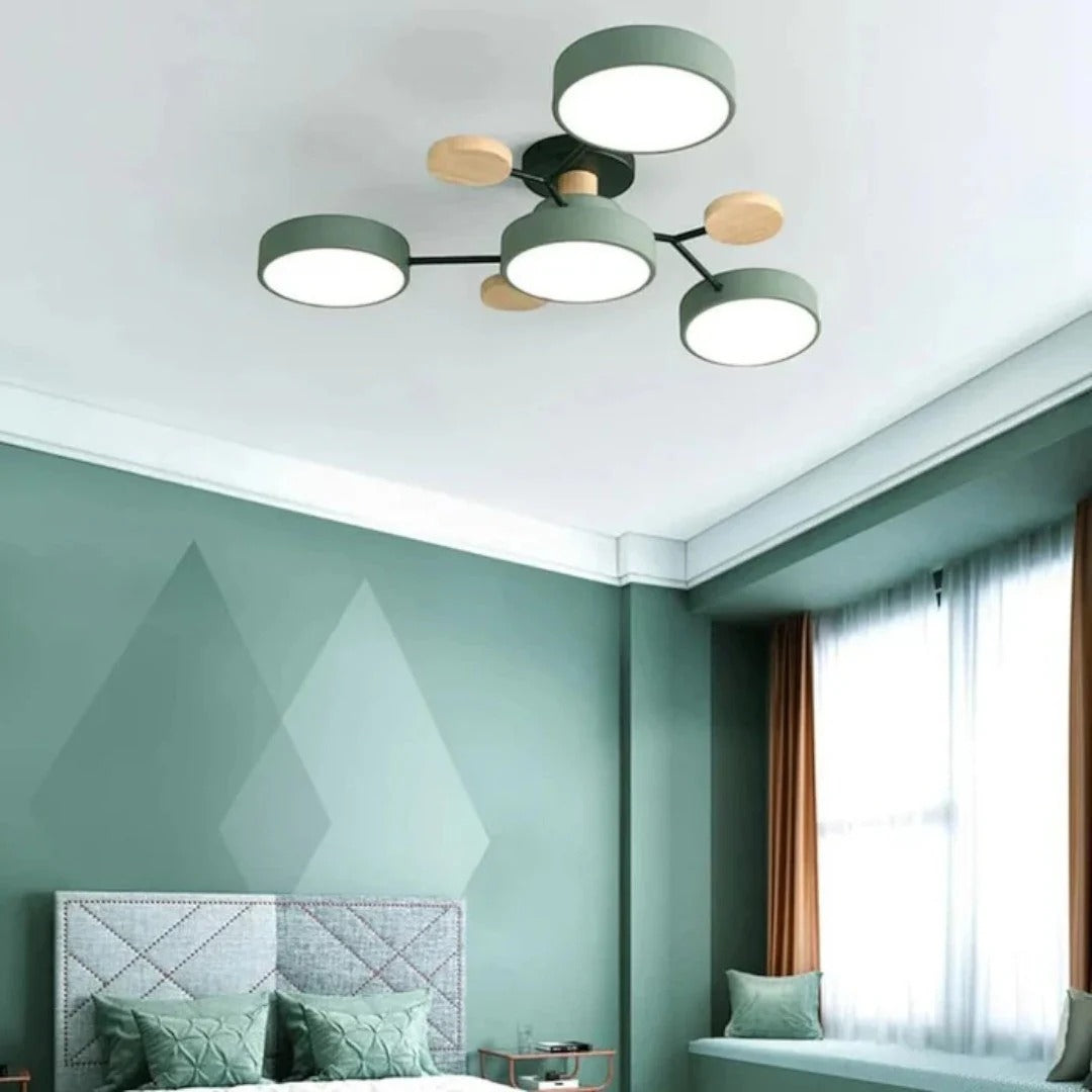 Modern Iron LED Ceiling Light