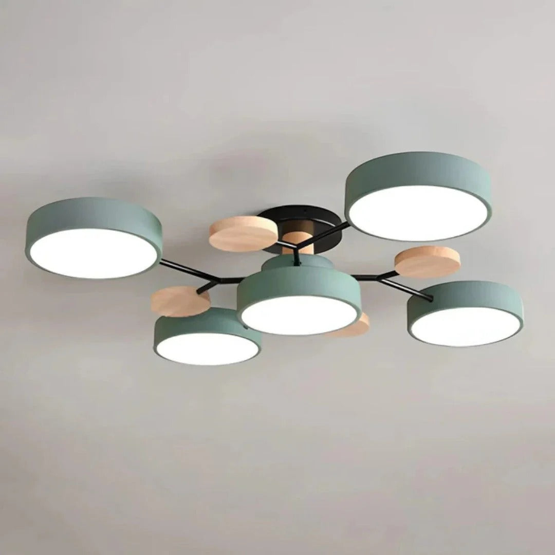 Modern Iron LED Ceiling Light