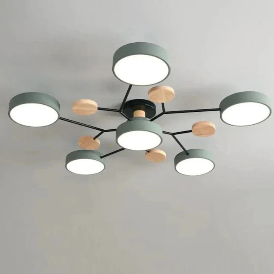Modern Iron LED Ceiling Light