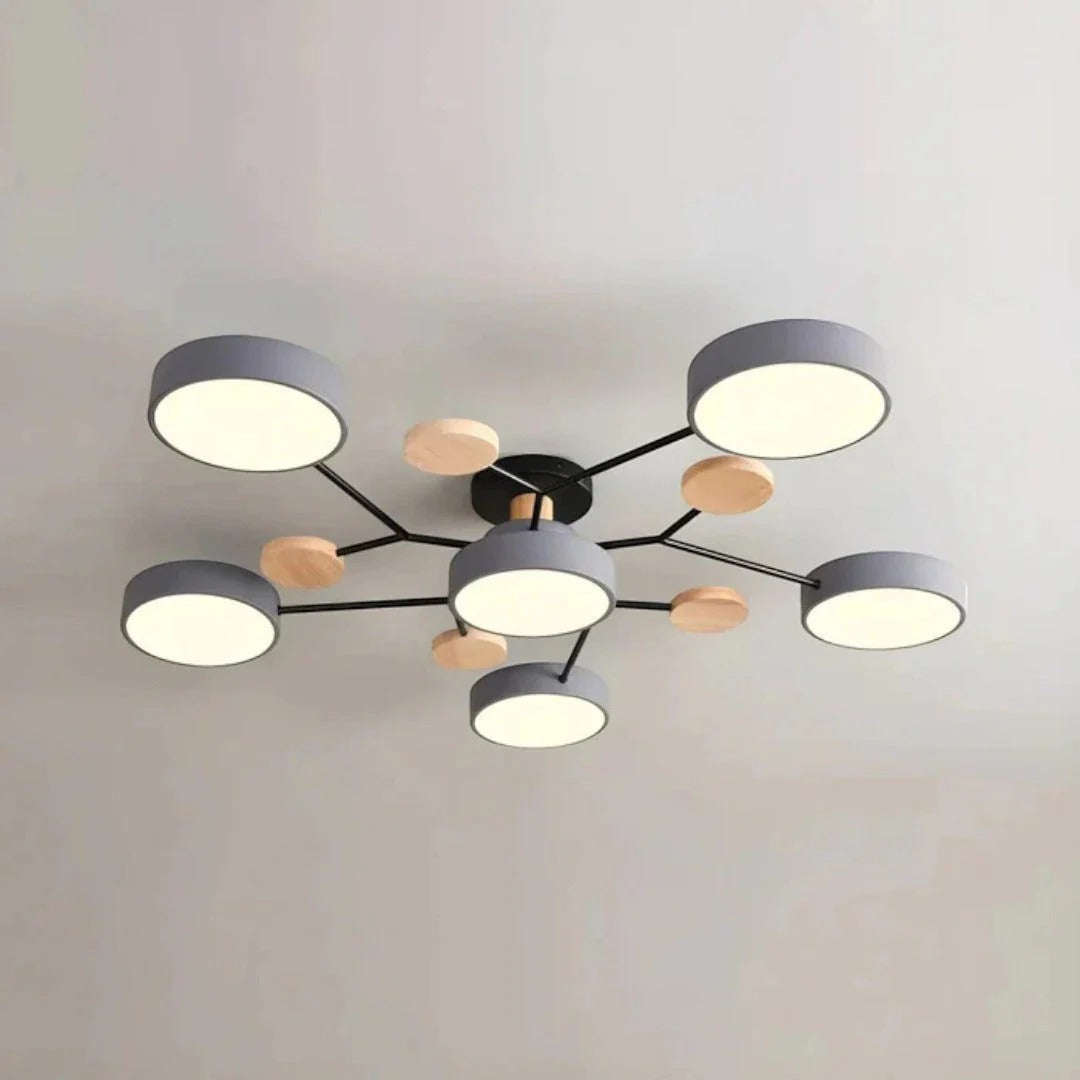 Modern Iron LED Ceiling Light