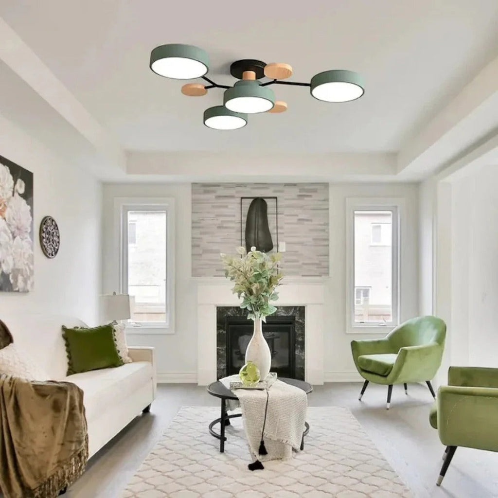 Modern Iron LED Ceiling Light