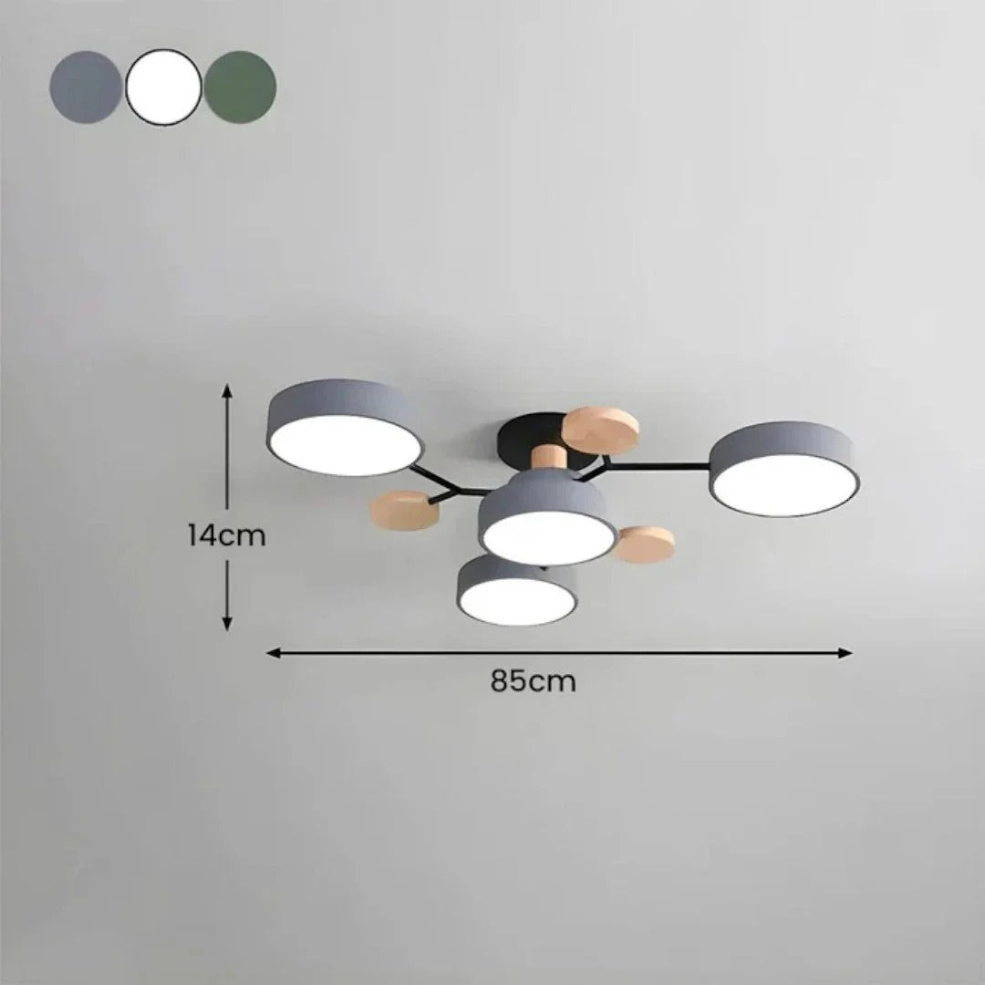 Modern Iron LED Ceiling Light