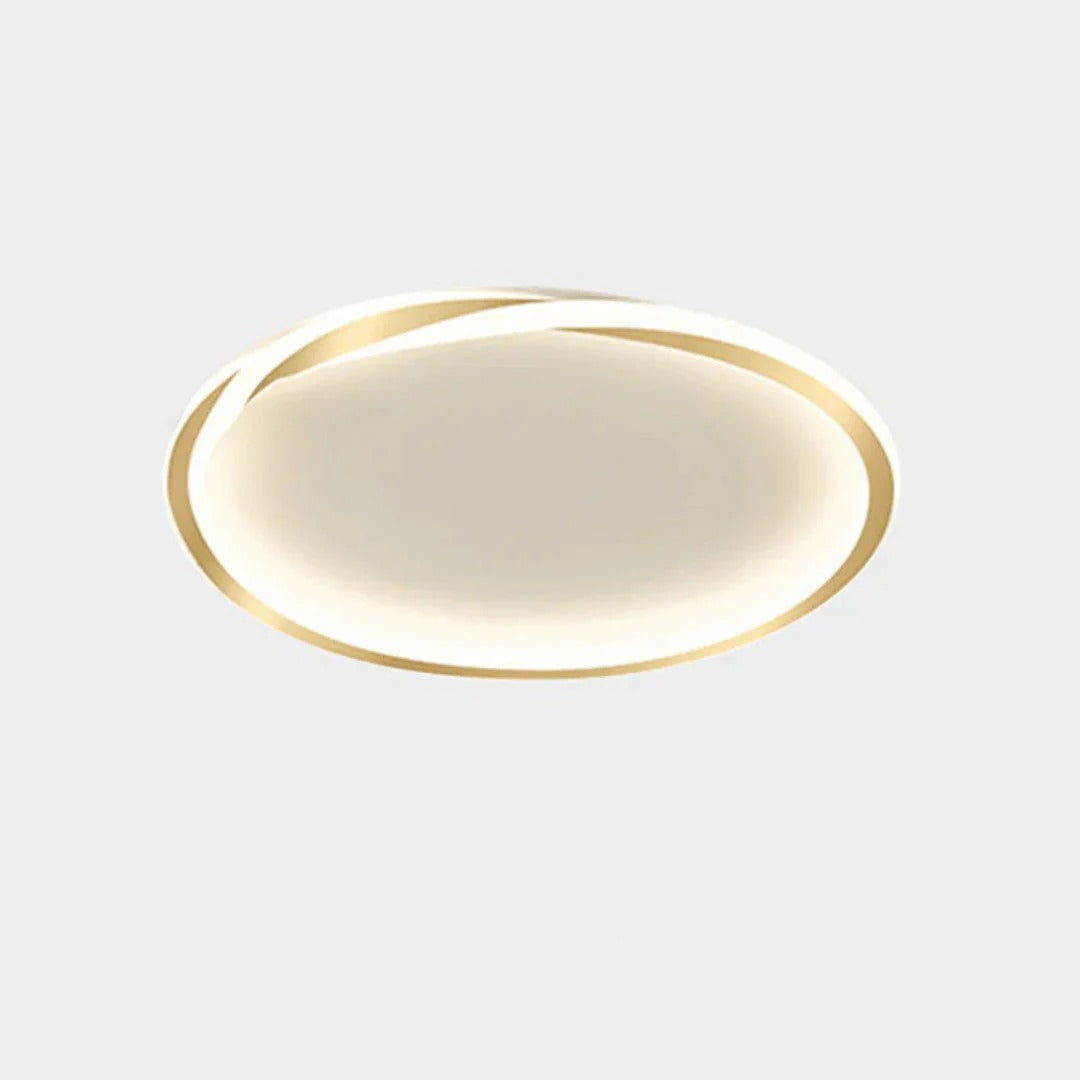 Minimalist Ring Ceiling Light