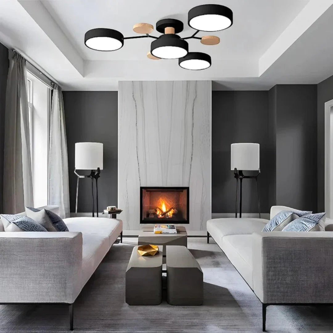 Modern Iron LED Ceiling Light