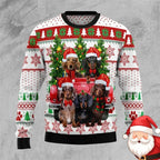 Women's Christmas Dachshund Sweater – Funny Dog Print Holiday Jumper